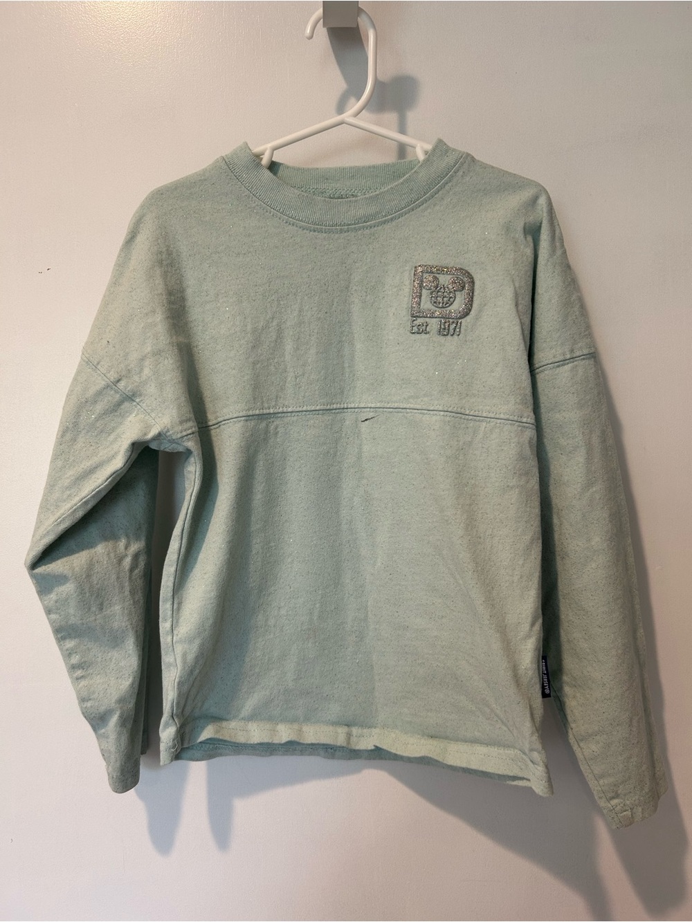 Disney World long sleeve - Light Mint Green
